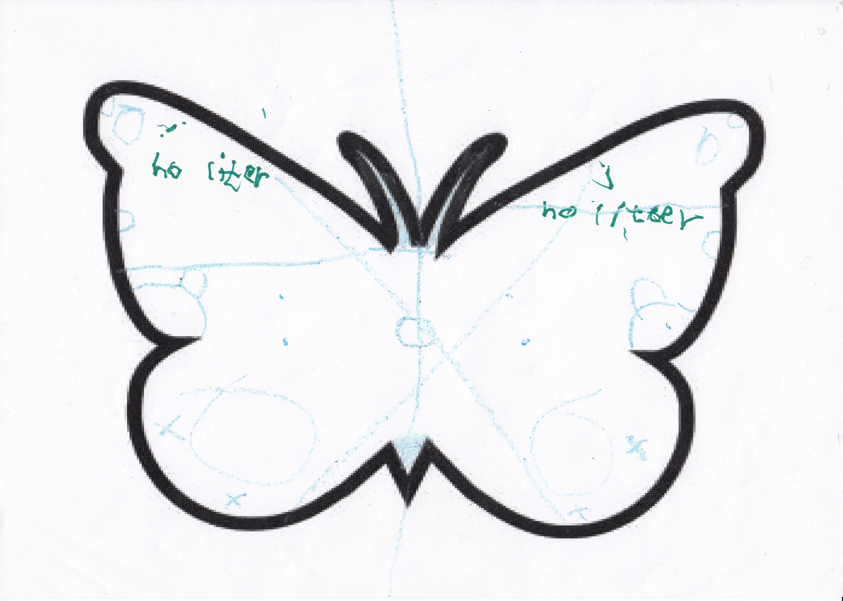 Butterfly 12