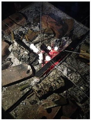 Woodcraft Fire and Marshmallows